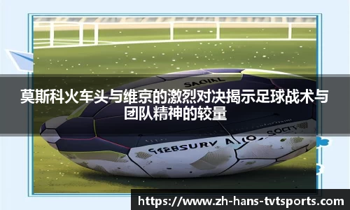 TVT体育官网